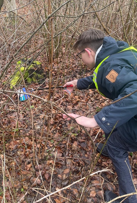 Voller Einsatz bei der Gemeindeputzaktion